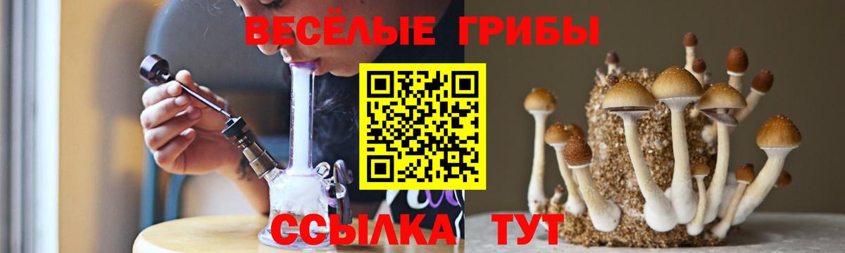 Псилоцибиновые грибы ЛСД Славгород